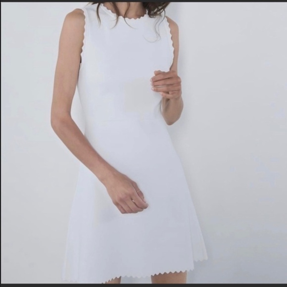 ZARA scalloped knit dress